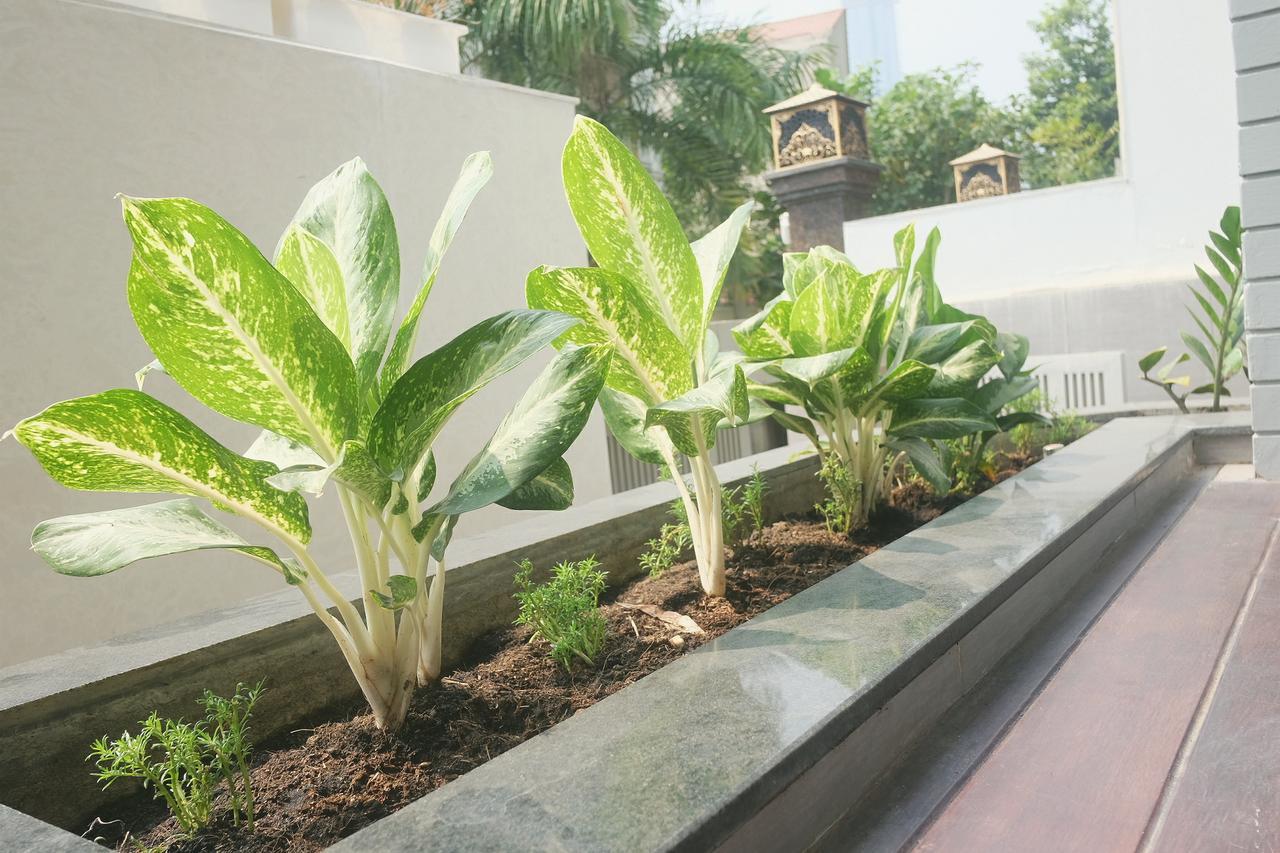 Biệt Thự Greenwood Sài Gòn Villa TP. Hồ Chí Minh Ngoại thất bức ảnh