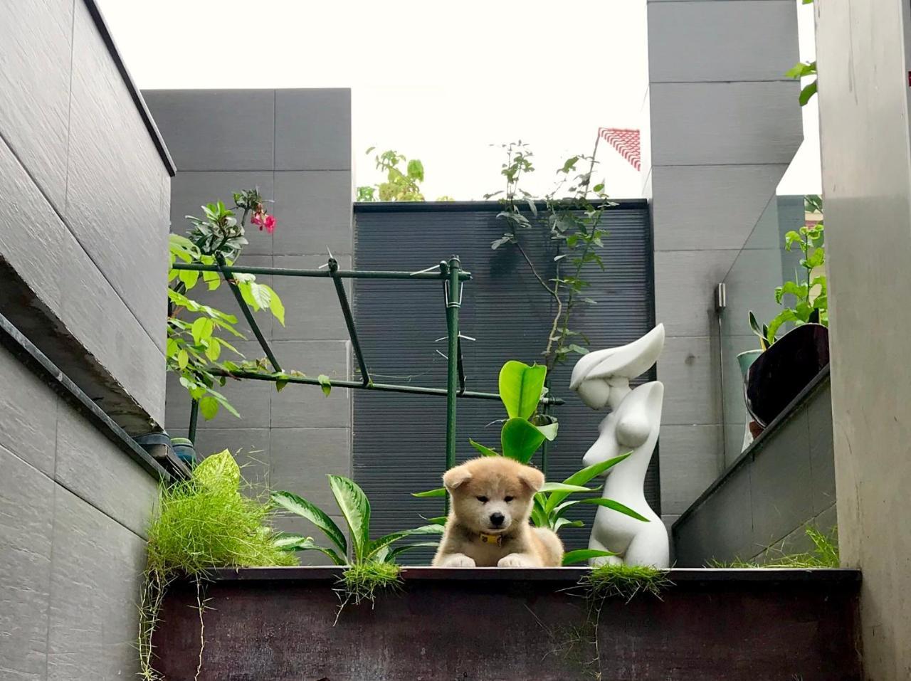 Biệt Thự Greenwood Sài Gòn Villa TP. Hồ Chí Minh Ngoại thất bức ảnh